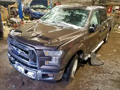 1FTEW1EP6GFB05813 2016 FORD F-150