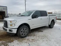 1FTEW1EP6GFB79233 2016 FORD F-150