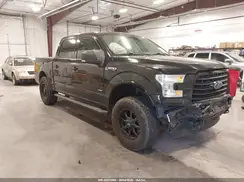1FTEW1EP6GFD38316 2016 FORD F-150