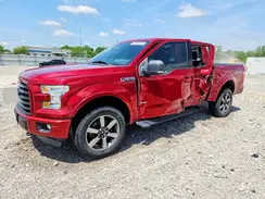 1FTEW1EP6GFD52782 2016 FORD F-150