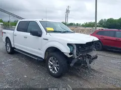 1FTEW1EP6HFC33440 2017 FORD F-150