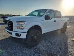 1FTEW1EP6HFC57382 2017 FORD F-150