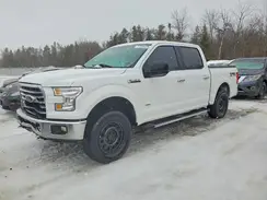 1FTEW1EP6HFC66227 2017 FORD F-150