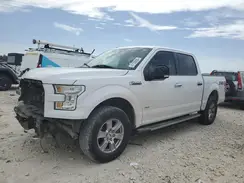 1FTEW1EP6HKC53436 2017 FORD F-150