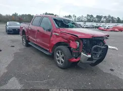 1FTEW1EP6KFA59988 2019 FORD F-150