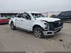 1FTEW1EP6KFC83116 2019 FORD F-150