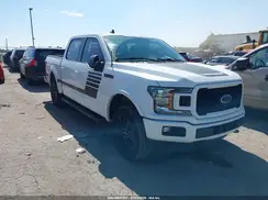 1FTEW1EP6KFD31195 2019 FORD F-150