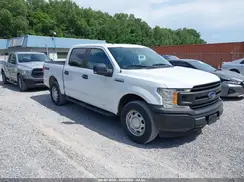 1FTEW1EP6KKD85541 2019 FORD F-150