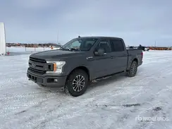 1FTEW1EP6LFC44303 2020 FORD F-150