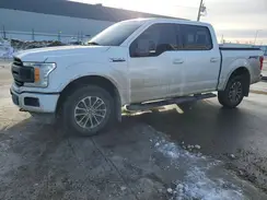 1FTEW1EP6LKE99167 2020 FORD F-150