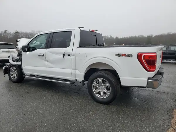 1FTEW1EP6PFB32591 2023 FORD F-150 - Image 2