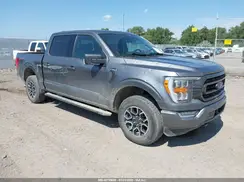 1FTEW1EP6PFB66899 2023 FORD F-150