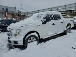 1FTEW1EP7GFA56444 2016 FORD F-150