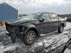 1FTEW1EP7GFB17064 2016 FORD F-150