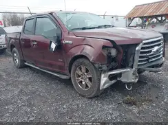 1FTEW1EP7GFB18408 2016 FORD F-150