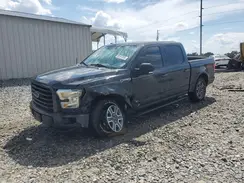 1FTEW1EP7GKF66428 2016 FORD F-150