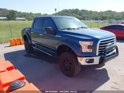 1FTEW1EP7HFA14034 2017 FORD F-150