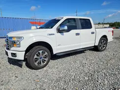 1FTEW1EP7HFA60639 2017 FORD F-150