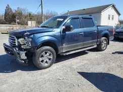1FTEW1EP7HFA80132 2017 FORD F-150