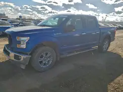 1FTEW1EP7HFA85377 2017 FORD F-150