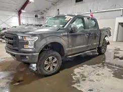 1FTEW1EP7HFB31340 2017 FORD F-150