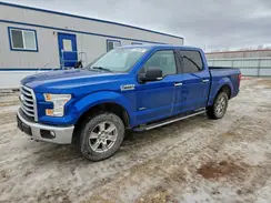 1FTEW1EP7HFB41561 2017 FORD F-150