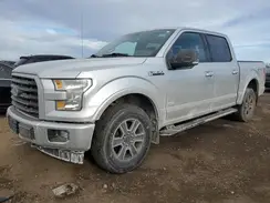 1FTEW1EP7HFB51166 2017 FORD F-150