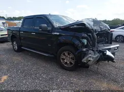 1FTEW1EP7HKC42204 2017 FORD F-150