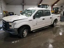 1FTEW1EP7HKD77814 2017 FORD F-150