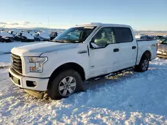 1FTEW1EP7HKD81846 2017 FORD F-150