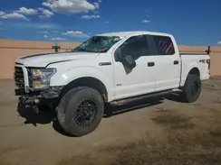 1FTEW1EP7HKE17714 2017 FORD F-150