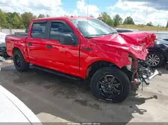 1FTEW1EP7KFB12097 2019 FORD F-150