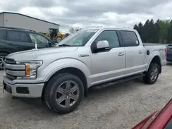 1FTEW1EP7KFB29238 2019 FORD F-150