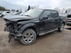 1FTEW1EP7KFB39123 2019 FORD F-150