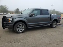 1FTEW1EP7KFB57377 2019 FORD F-150