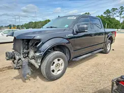 1FTEW1EP7KFC89555 2019 FORD F-150
