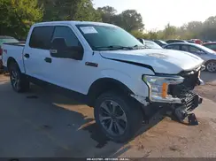 1FTEW1EP7KKC32991 2019 FORD F-150