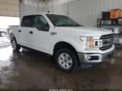 1FTEW1EP7KKC91684 2019 FORD F-150