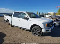1FTEW1EP7KKD78307 2019 FORD F-150