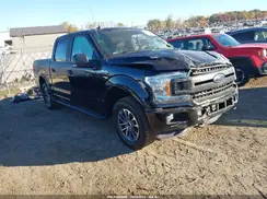 1FTEW1EP7LKD55773 2020 FORD F-150