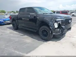 1FTEW1EP7MFB35009 2021 FORD F-150