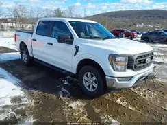 1FTEW1EP7PFA71526 2023 FORD F-150