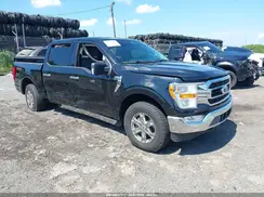 1FTEW1EP7PFD33528 2023 FORD F-150