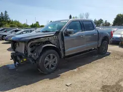 1FTEW1EP7PKF53419 2023 FORD F-150