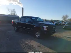 1FTEW1EP8GFA49261 2016 FORD F-150