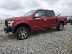 1FTEW1EP8GFB23407 2016 FORD F-150
