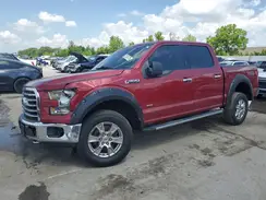 1FTEW1EP8GFC19876 2016 FORD F-150