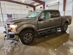 1FTEW1EP8GFD20206 2016 FORD F-150