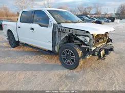 1FTEW1EP8GFD24434 2016 FORD F-150