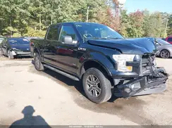 1FTEW1EP8GKE67343 2016 FORD F-150